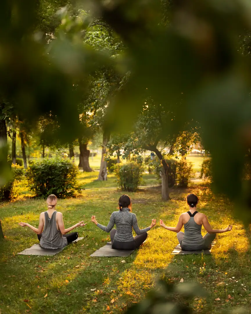 zona de yoga en la montana costarica